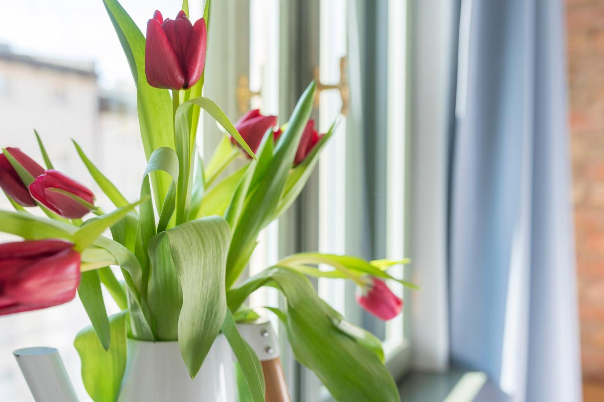 Provenir Home Strzelecka 25 Poznań Eksteriør bilde